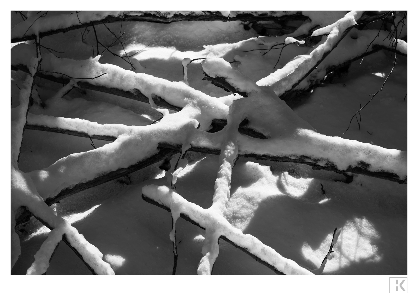 Snow on Branches